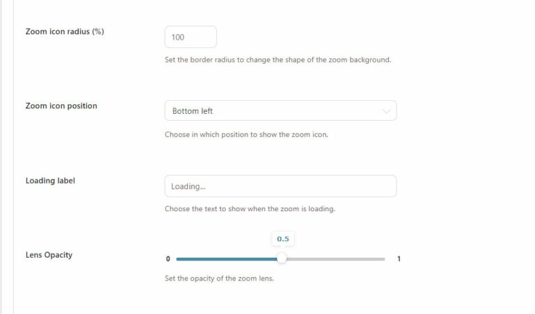 Zoom options (2/2)