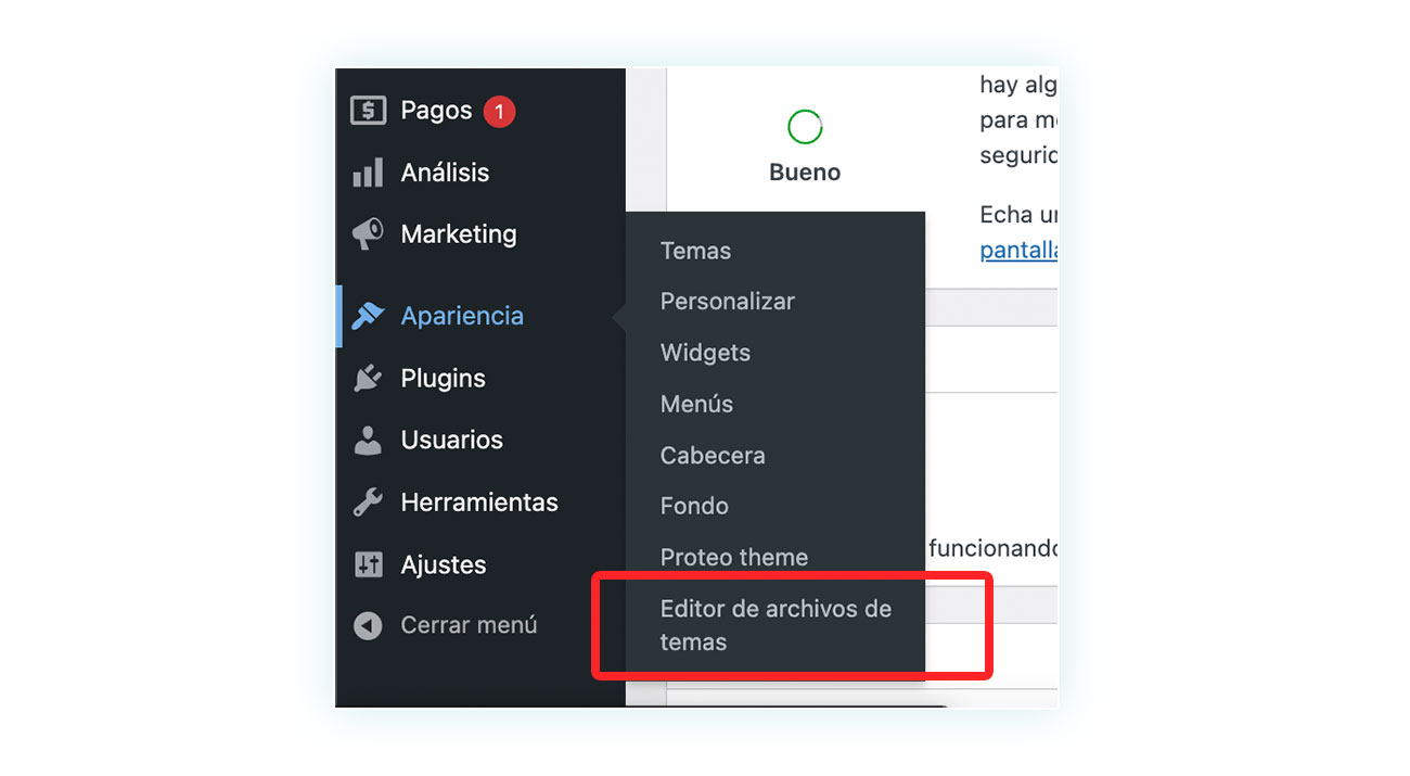 Editor de archivos de temas