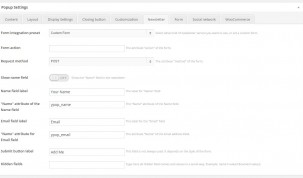 section "Newsletter" - Popup settings