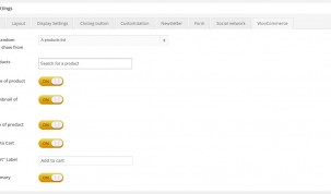 section "WooCommerce" - Popup settings