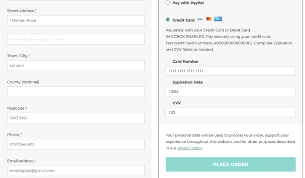 Non-branded Credit Cards - Allow customers to pay by Credit Card using PayPal's security without showing it is managed by PayPal