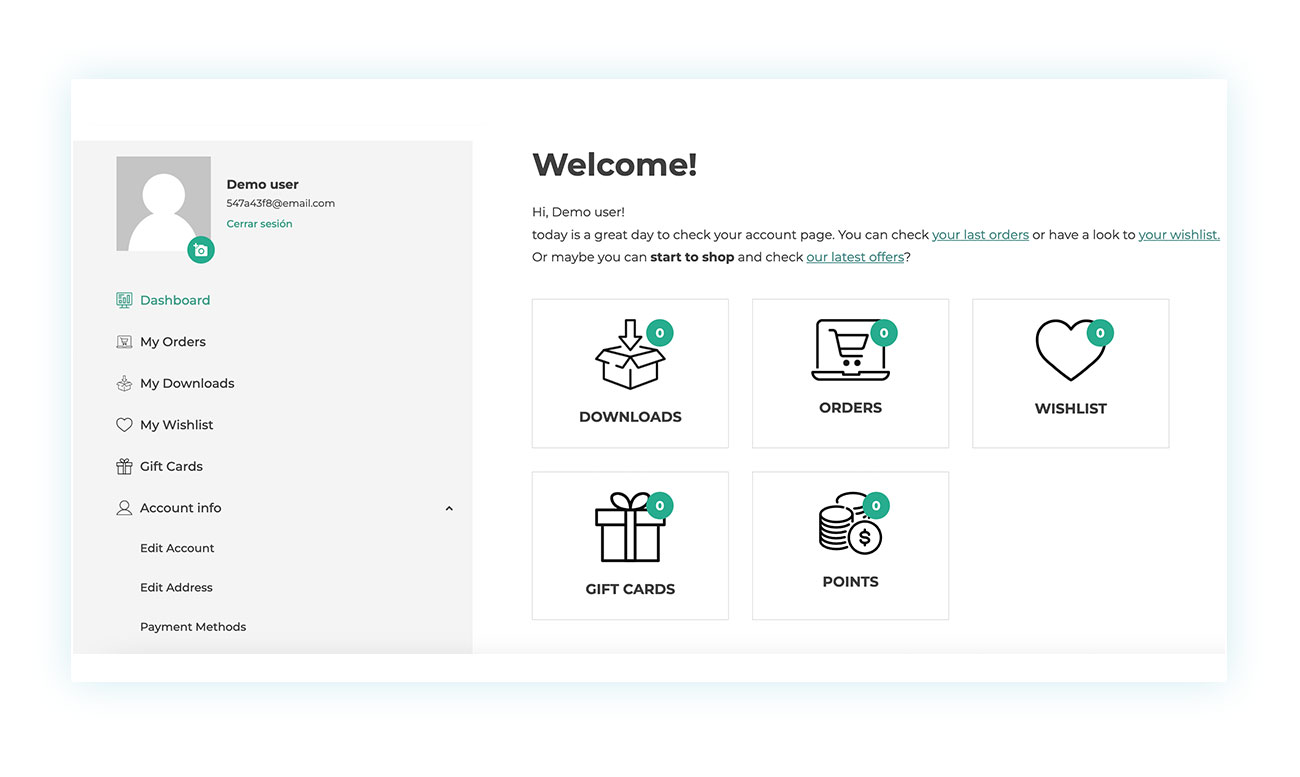 My Account page managed by the plugin